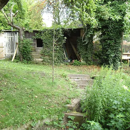 Burgblick Kohren-Sahlis